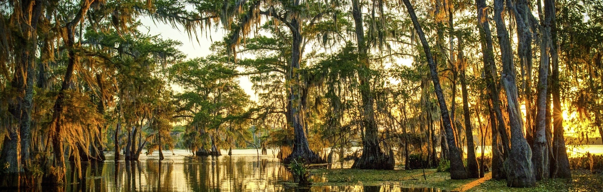 Louisiana Bankers Association