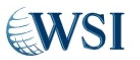 WSI & The LinkedBanker