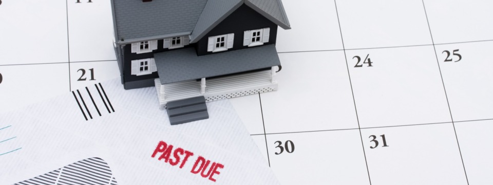 Managing Mortgage Delinquency