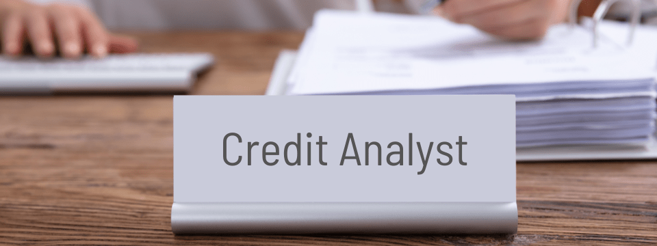 Regulatory Update for the Credit Analyst