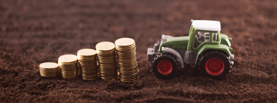Agricultural Lending Basics