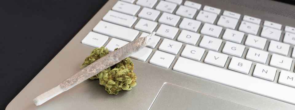 Marijuana Policy & Best Practices