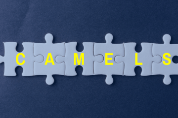 Understanding CAMELS Components & Risk