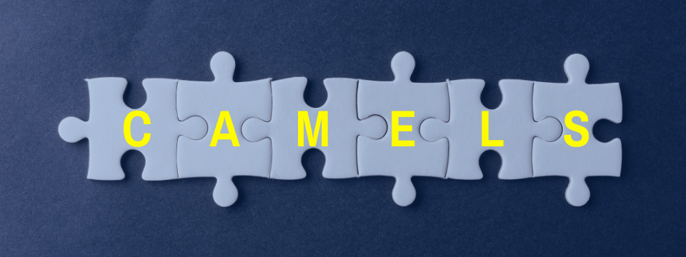 Understanding CAMELS Components & Risk