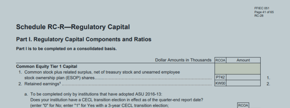 Call Report Series: Understanding Call Report Regulatory Capital: Standards, Ratios, Risk Weighting