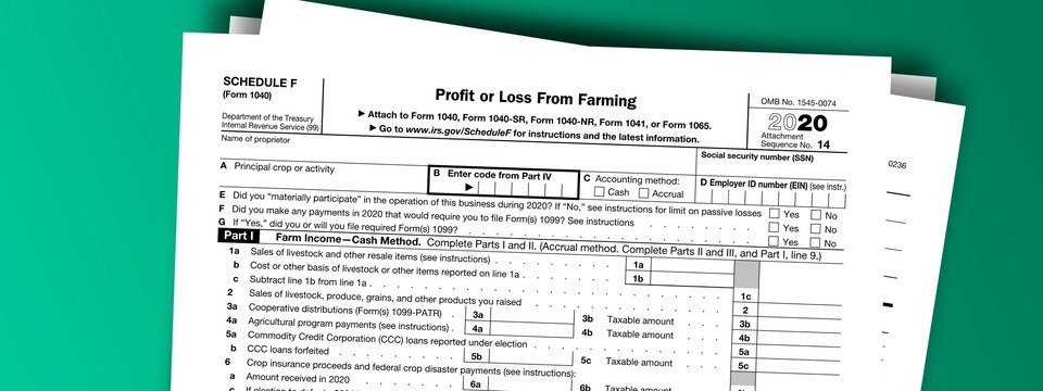 Cracking the Personal Tax Return Code Part 2: Form 1040, Schedules D, E & F