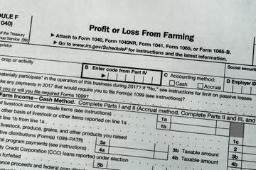 Deciphering Tax Returns Part 2: Form 1040, Schedules D, E & F
