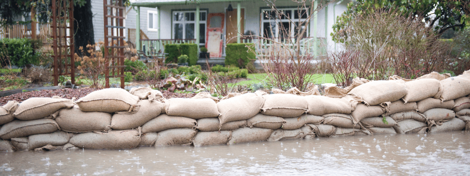 Flood: Auditing for FDPA Compliance
