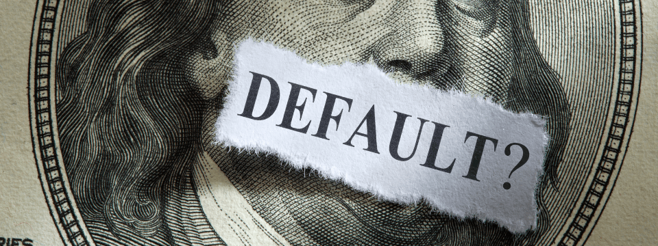 Defaults on Consumer Mortgage Loans: Next Steps, Mitigation, Foreclosure Alternatives & More