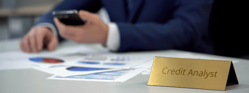 Five Vital Financial Factors All Credit Analysts & Lenders Must Master