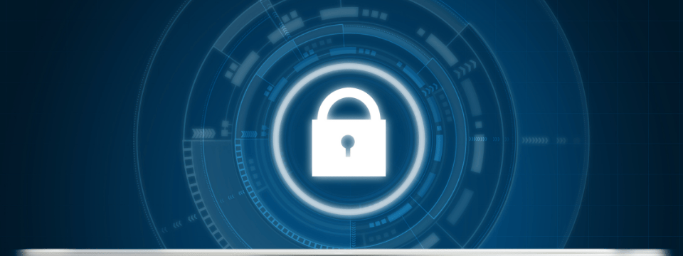 Data Privacy & the Patchwork of State Consumer Protection Laws