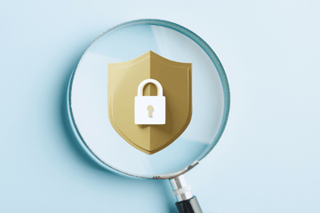 Security Assessments: A Security Program Essential