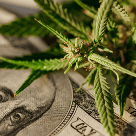Historic Marijuana Rescheduling: What It Does & Does Not Mean for Your Financial Institution.