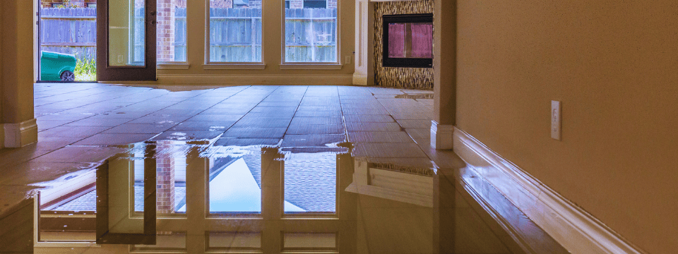 Force-Placed Flood Insurance Deep Dive