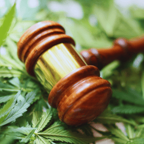 2026 Federal Hemp Ban: What It Means for Your BSA Program