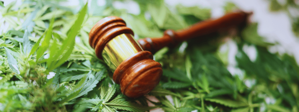 2026 Federal Hemp Ban: What It Means for Your BSA Program